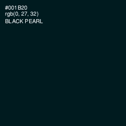 #001B20 - Black Pearl Color Image